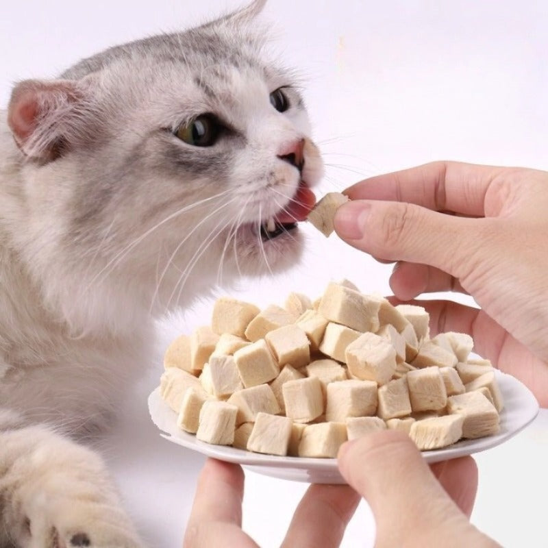 100g/3.5 ozPamily Freeze Dried Pet Treats Chicken Flavor