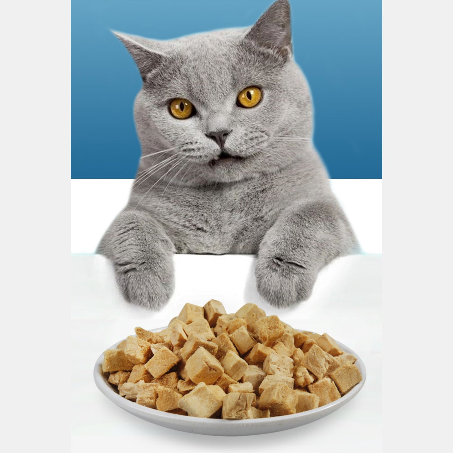 100g/3.5 ozPamily Freeze Dried Pet Treats Salmon Flavor