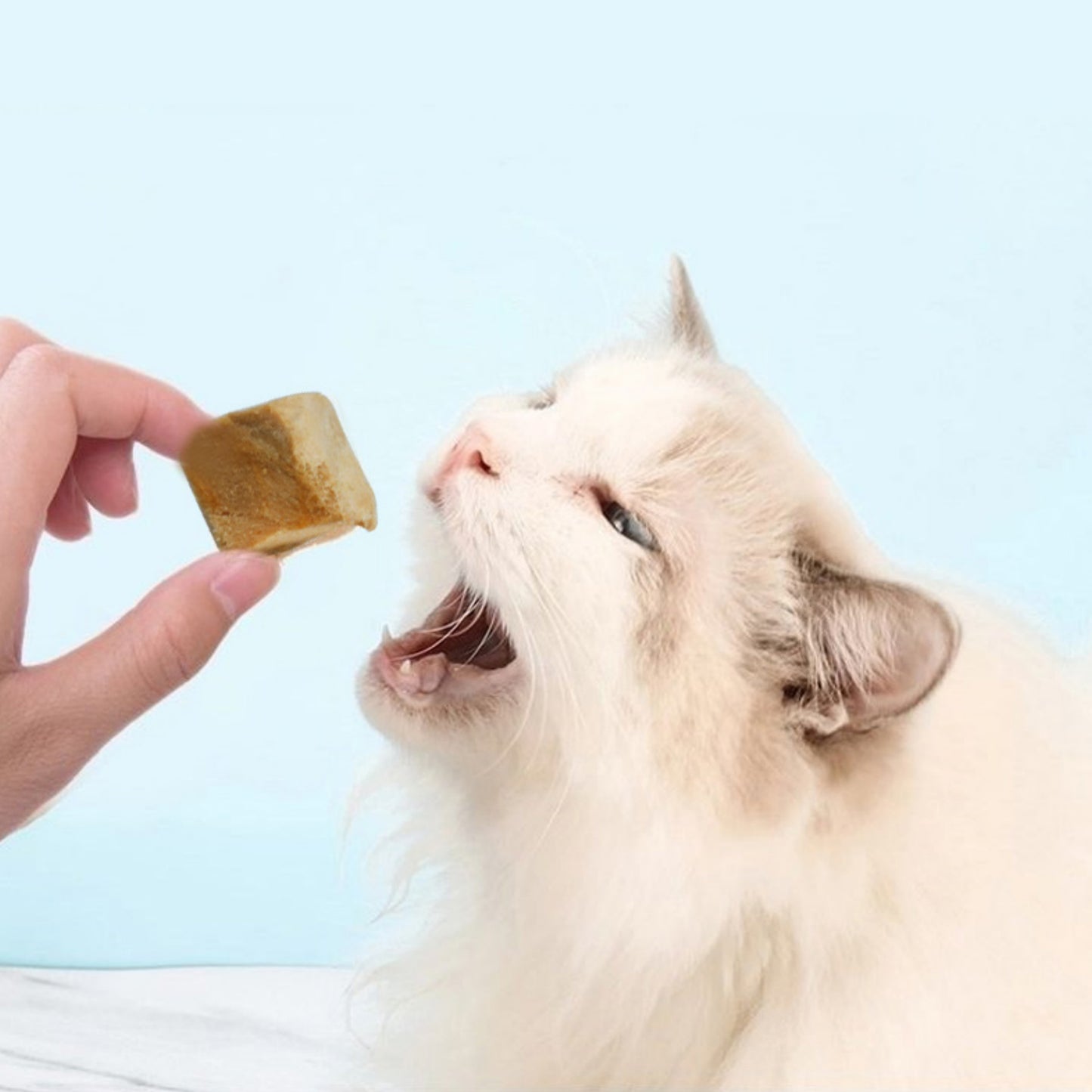 100g/3.5 ozPamily Freeze Dried Pet Treats Salmon Flavor