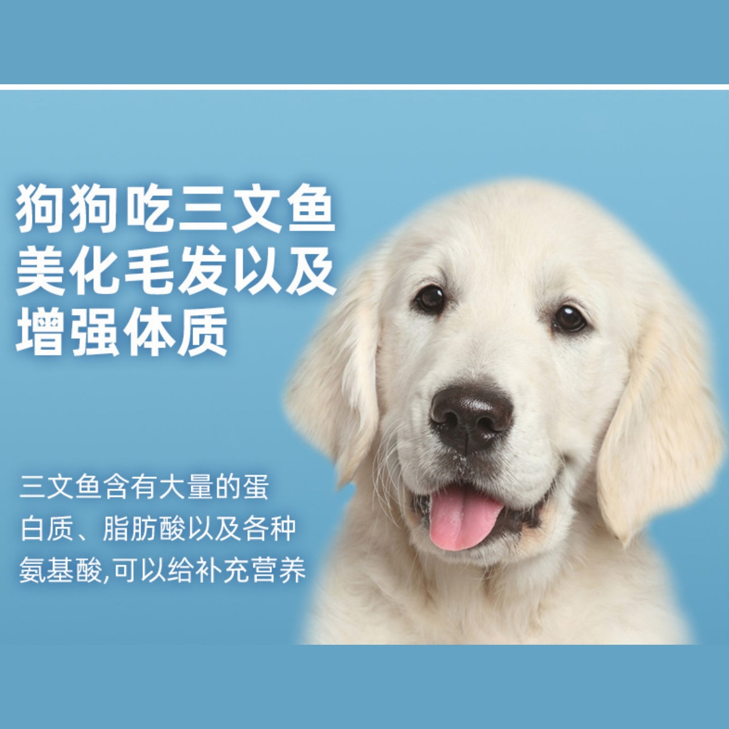 100g/3.5 ozPamily Freeze Dried Pet Treats Salmon Flavor