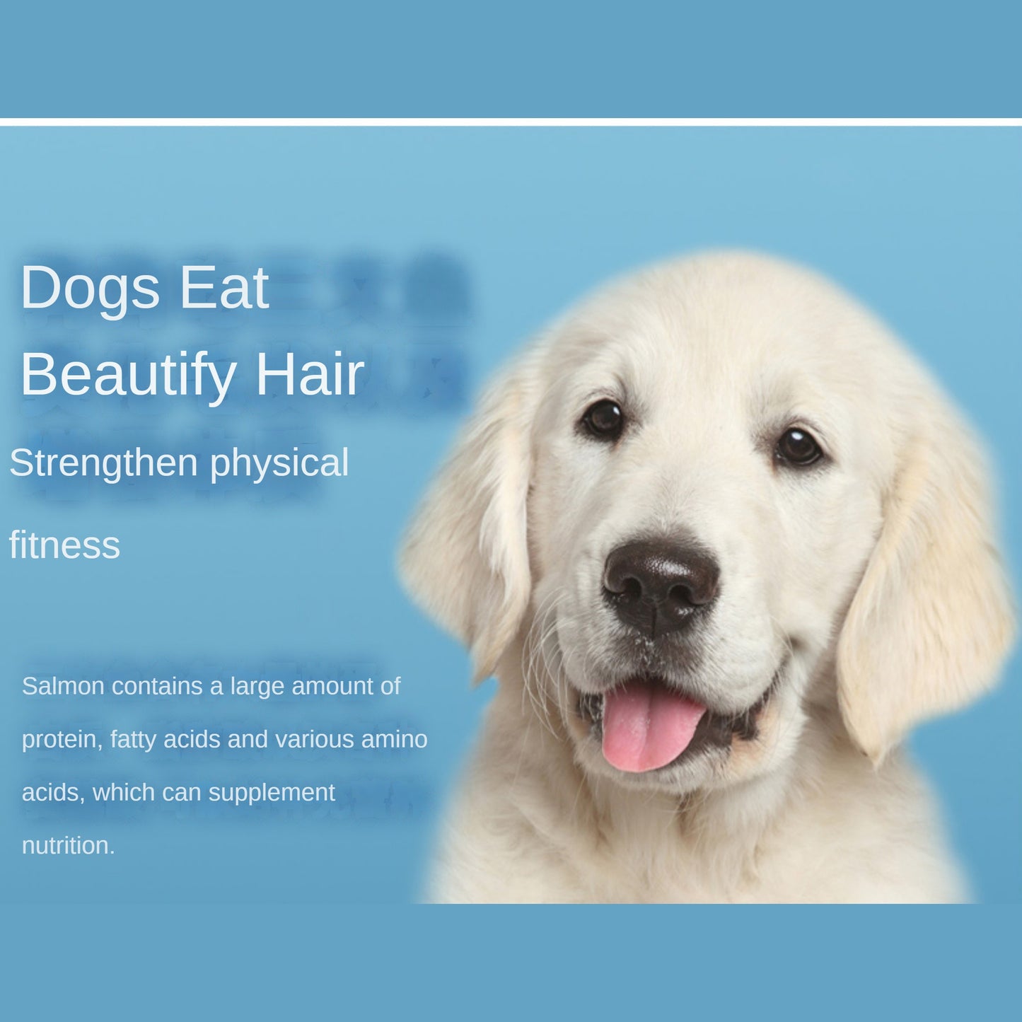 100g/3.5 ozPamily Freeze Dried Pet Treats Salmon Flavor