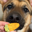 Carrot teething biscuits-For dog 100g