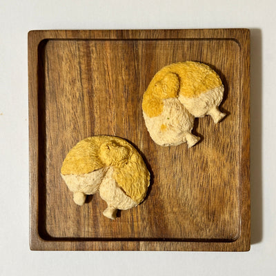 Corgi pp biscuits-For dog and cat 12g